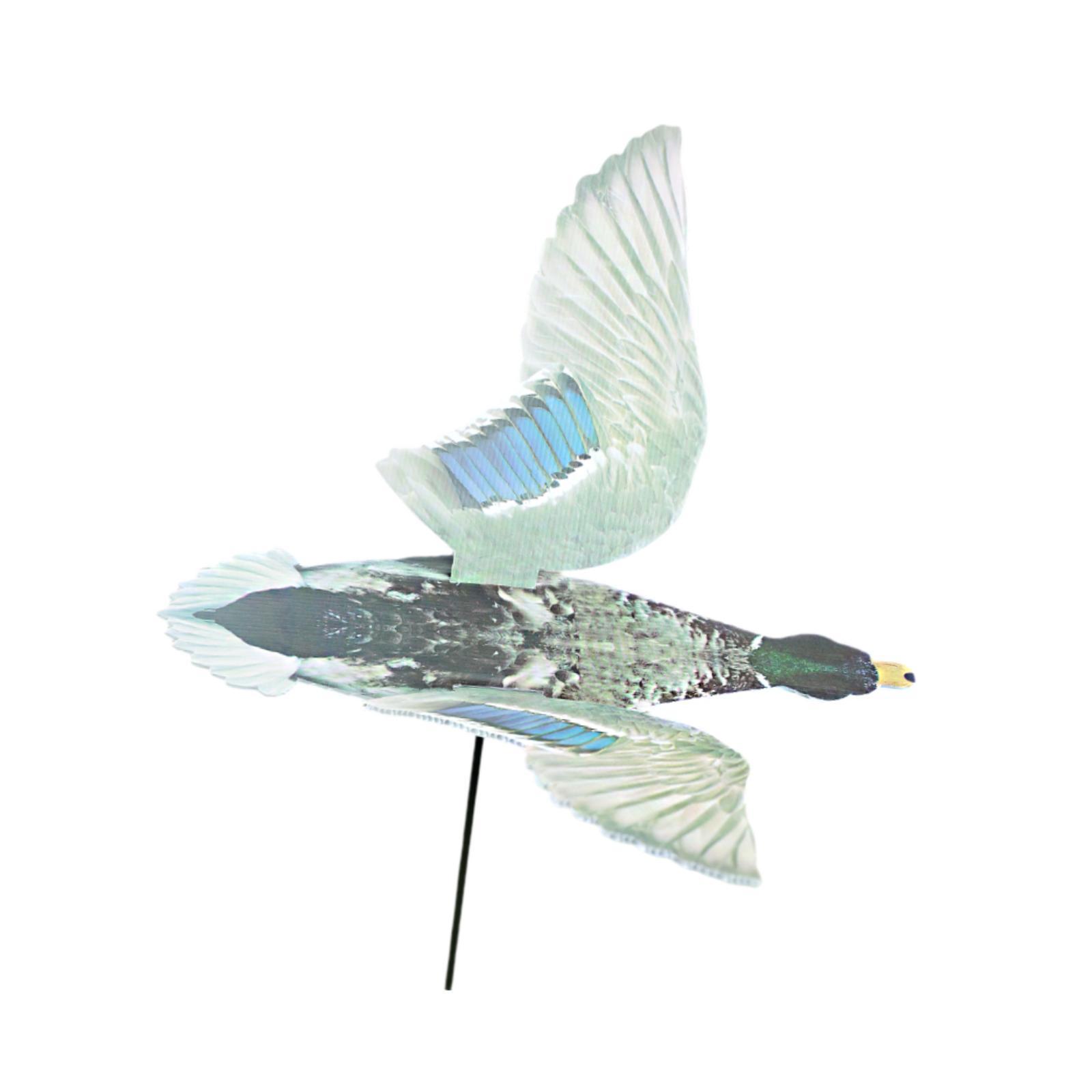 Outdoor Hunting Duck Decoy Mul - Hunting Outdoor Decor 评论和价格