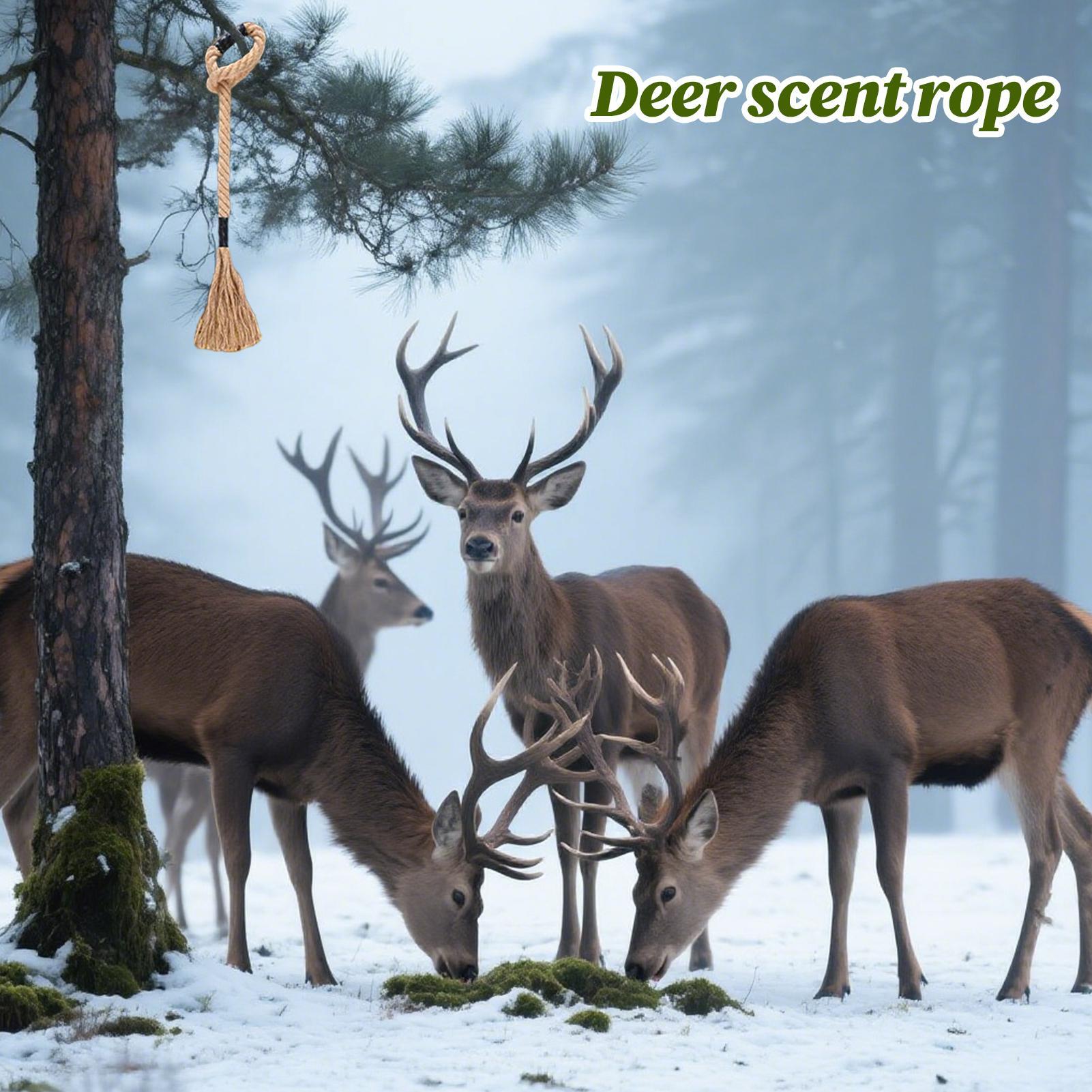 Deer Scent Rope Long-Lasting E - Deer Attractant Scent 评论和价格