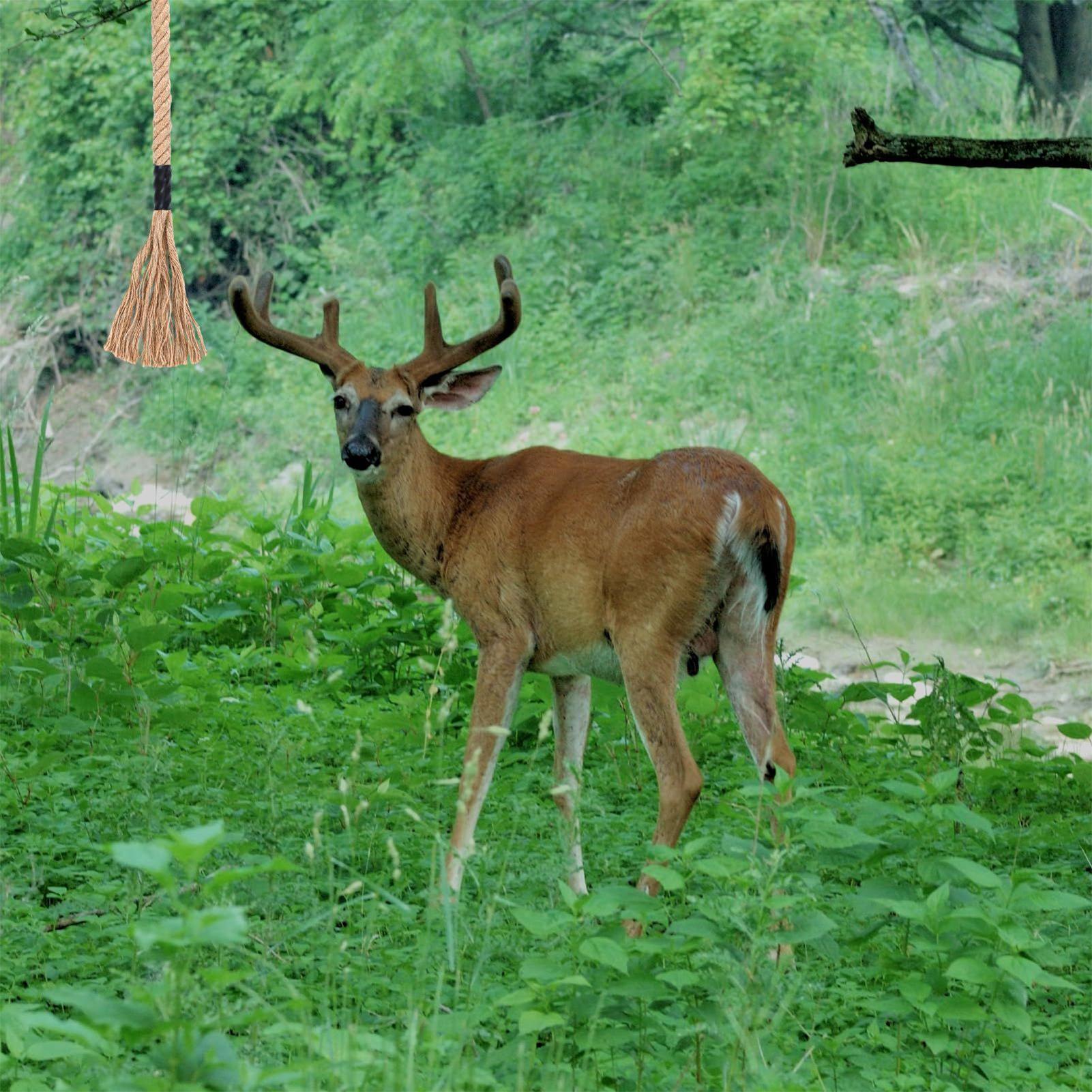 Deer Scent Rope Long-Lasting E - Deer Attractant Scent 评论和价格